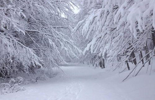 Appartamento Superior Condominio Orso Bianco, parquet, Wi-Fi - Foto 66