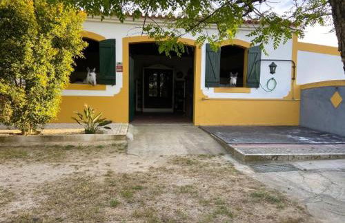 QR Casas de Campo - Foto 61