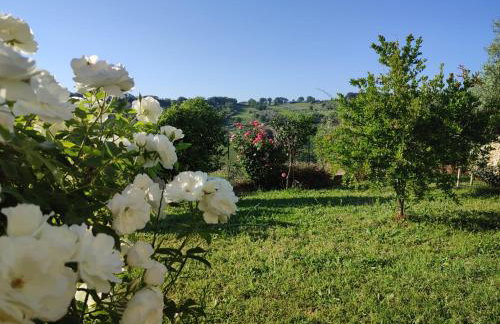 La Casa Di Stefania - Foto 33