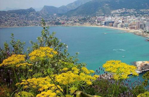 Villa totalmente independiente con piscina comunitaria - Foto 43