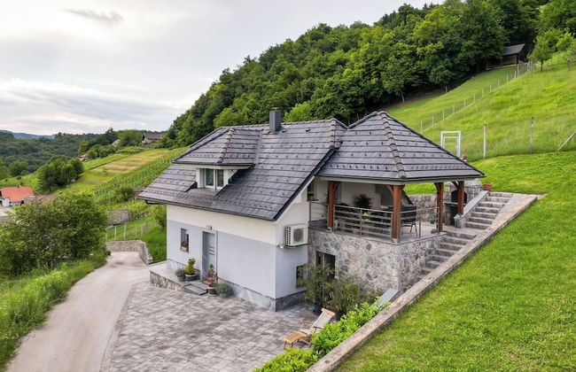 Vineyard cottage Jelenov hrib - Foto 20