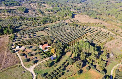 Carcavelos Villa With Pool - Foto 50