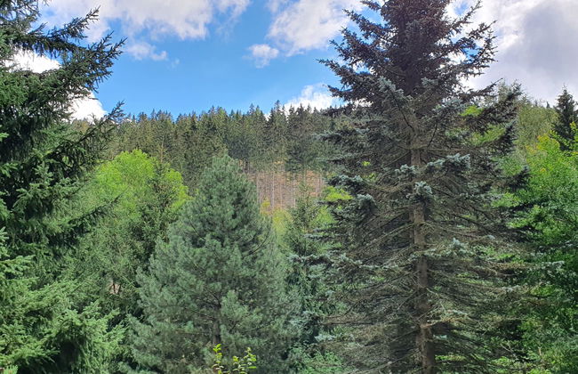 Karpacz Kowary - Foto 22