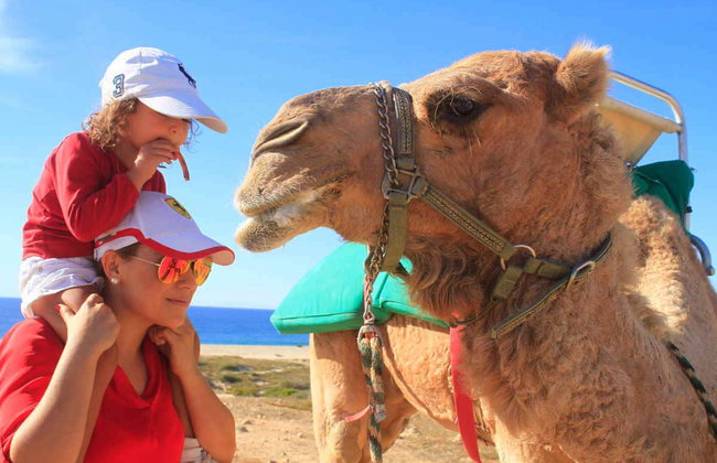 Paseo en camello por el desierto de Los Cabos - Foto 6
