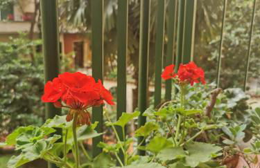 Appartamento Diego - Foto 22