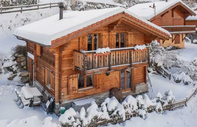 Ecureuil noir - Foto 26