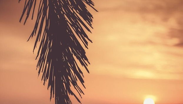 Sunset Paddle Board Experience en Jávea España - Foto 4