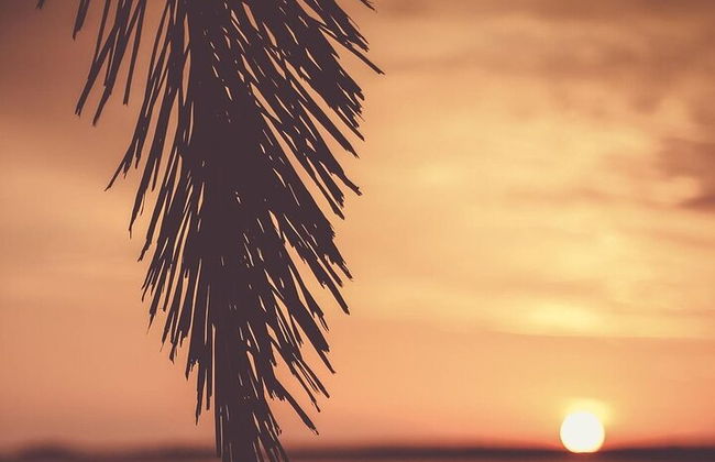 Sunset Paddle Board Experience en Jávea España - Foto 4