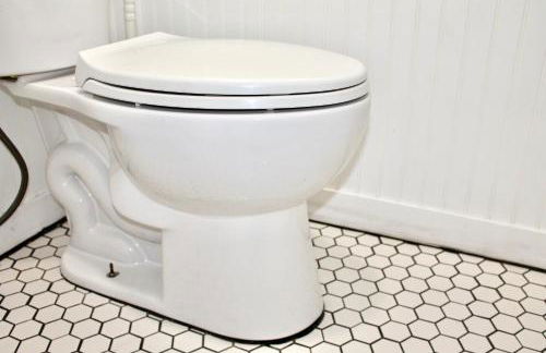 Los Angeles Red Rose - Foto 26