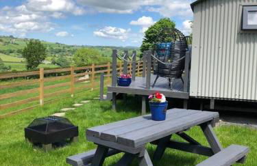 The Shepherds Hut at Hafoty Boeth - Photo 6