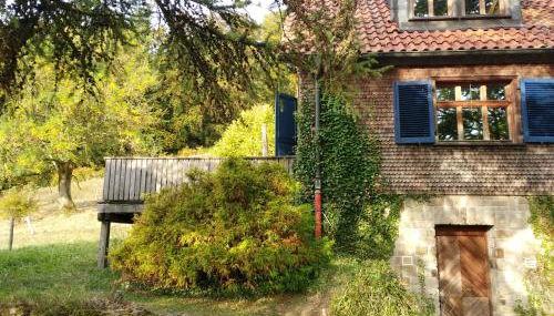 Rhöner Landhaus mit viel Flair - Foto 3, Garden