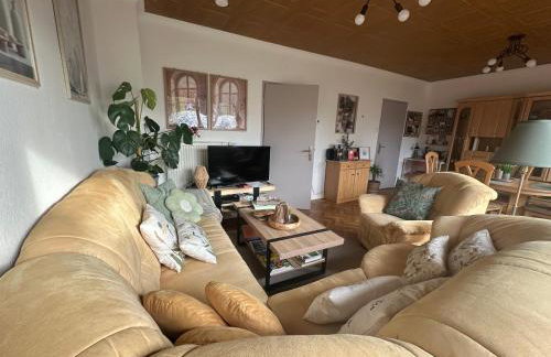 Grand appartement au cœur de la région alsacienne - Foto 35