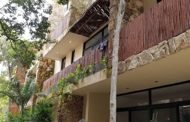 Jungle Penthouse - Photo 24