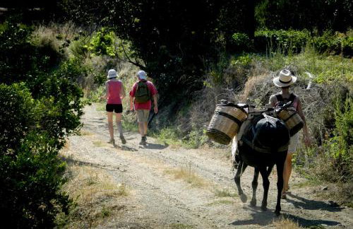 Enagron Ecotourism Village - Photo 48