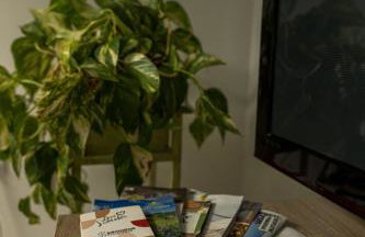 Sunny day apartments - Foto 17