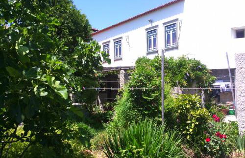 Casa d'Alvite - Arouca - Photo 20