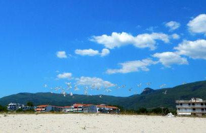 Medusa Beach Apartment, Asprovalta - Foto 36