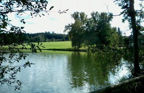 FeWo HoLiDay ApartMENT Allgäu - Foto 23