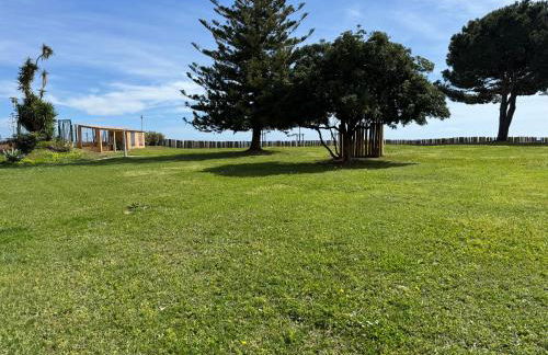 Appartement n 302 moriani plage - Foto 36