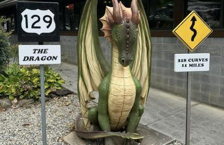 Bear's Mountaintop Home with Gorgeous Lake Views chalet - Foto 60