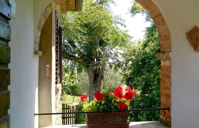 Agriturismo Podere Caggiolo - Photo 61