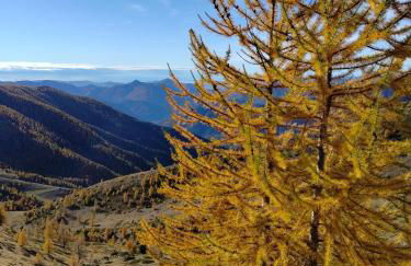 Gite T3 Le Balarino - Mercantour 1 - Foto 25