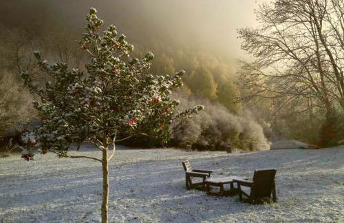 Casas de Zapatierno - Photo 16