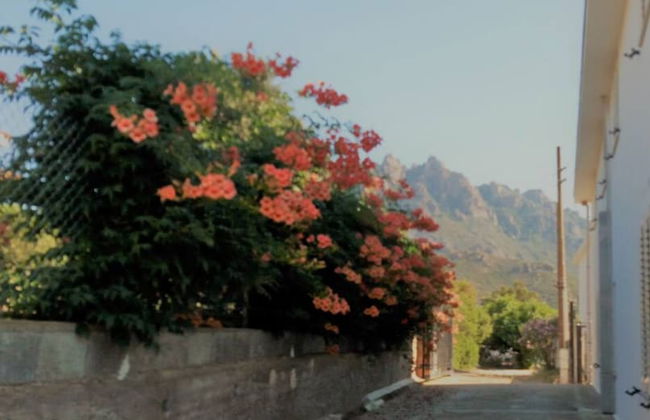 Tertenia Ground Floor South 3 min Walk From the sea - Photo 23