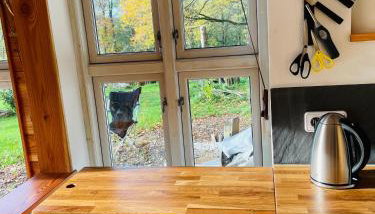 Tiny House/Waldhaus - Westerwald - Foto 5