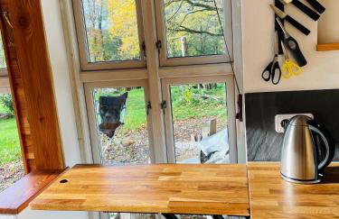 Tiny House/Waldhaus - Westerwald - Foto 5