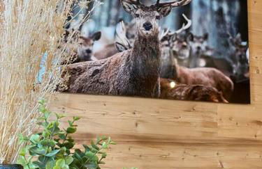 Résidence le DORONIC Duplex 8 pers La Plagne 1800 - Foto 61