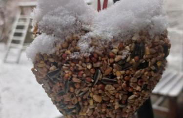 Holzhaus am See - Foto 81