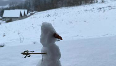 elements - Solina, z sauną - Foto 5