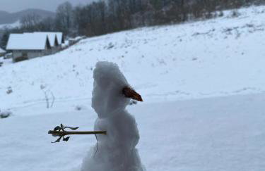 elements - Solina, z sauną - Foto 5