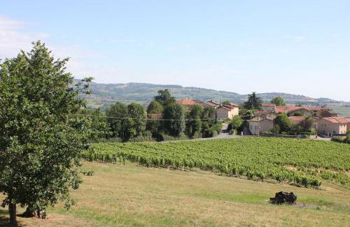 Le clos des vignes - Foto 34