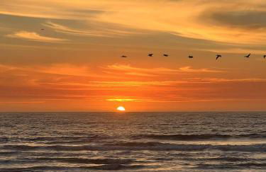 Beachfront Retreat with Ocean Views - Foto 48