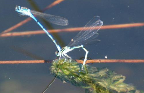 Lakeview Cottage - Photo 2