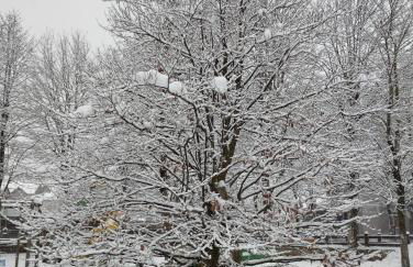 CASA ROBERTA - Foto 12