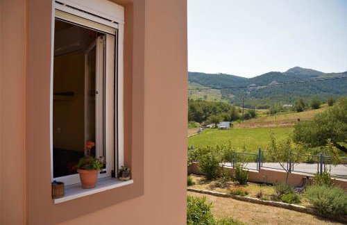 Casa Verde Houses - Photo 38