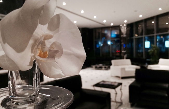 Tulip hotel And Suites - Foto 5