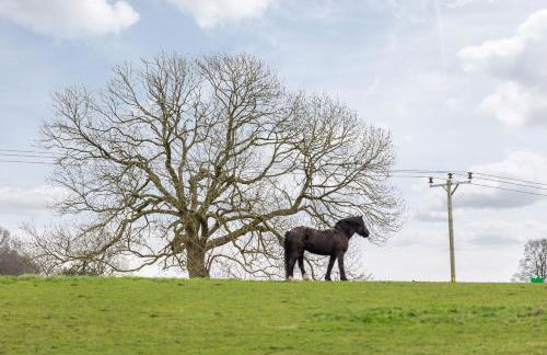 Jenny's Barn - Sleeping 9, Dog friendly - Foto 34