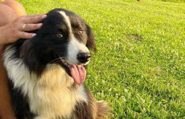 Rajski Zakątek - jeden domek na działce z gorącą balią i mini ZOO - Foto 48