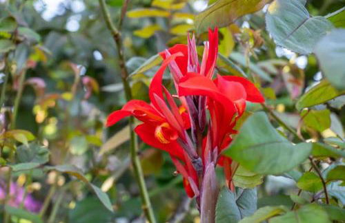 Beachfront Romantica Place Ground floor - Foto 29