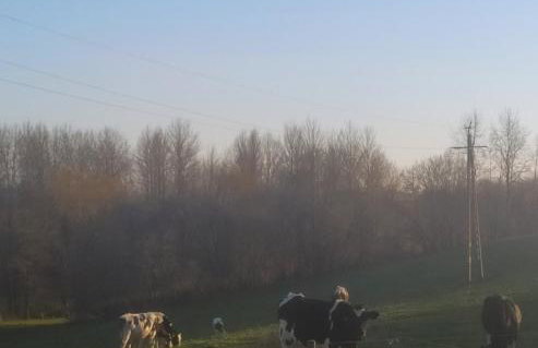 Przy Trójstyku - Foto 39