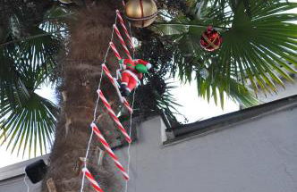 2 Zimmer Wohnung mit Garten - Foto 27