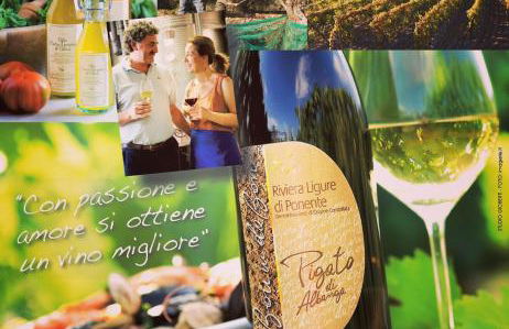 Agriturismo del Pigato - Bio Vio - Foto 3