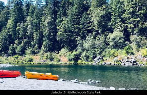 Pacific Seaside House by Pebble Beach & Redwoods - Foto 39