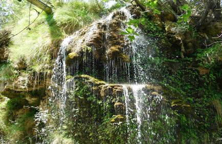 Los Gavilanes BOGARRA - Foto 15