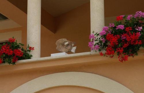 Apartments Villa Bartol - Photo 30