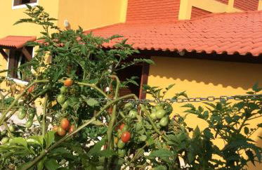 Pousada Chalé na Roça Penedo - Photo 56